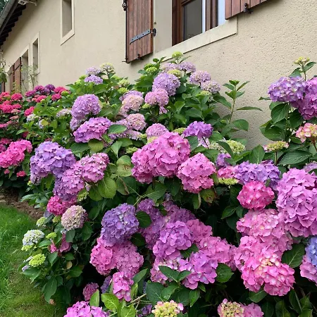 Holiday home Lovely 8 Persons House In *